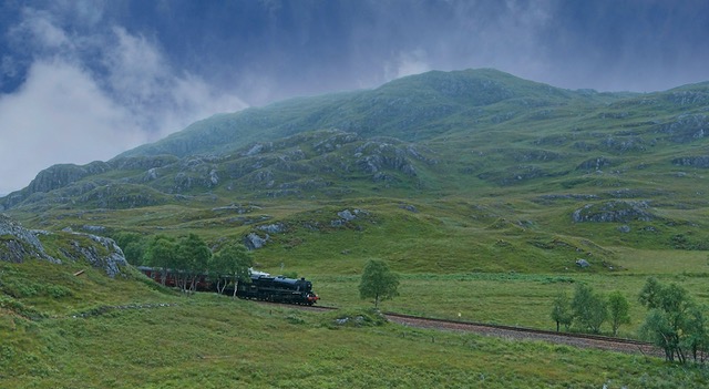 The Train to Hogwarts by Albert Zabin