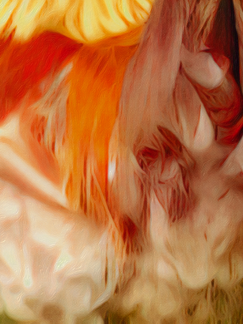 Comment Image