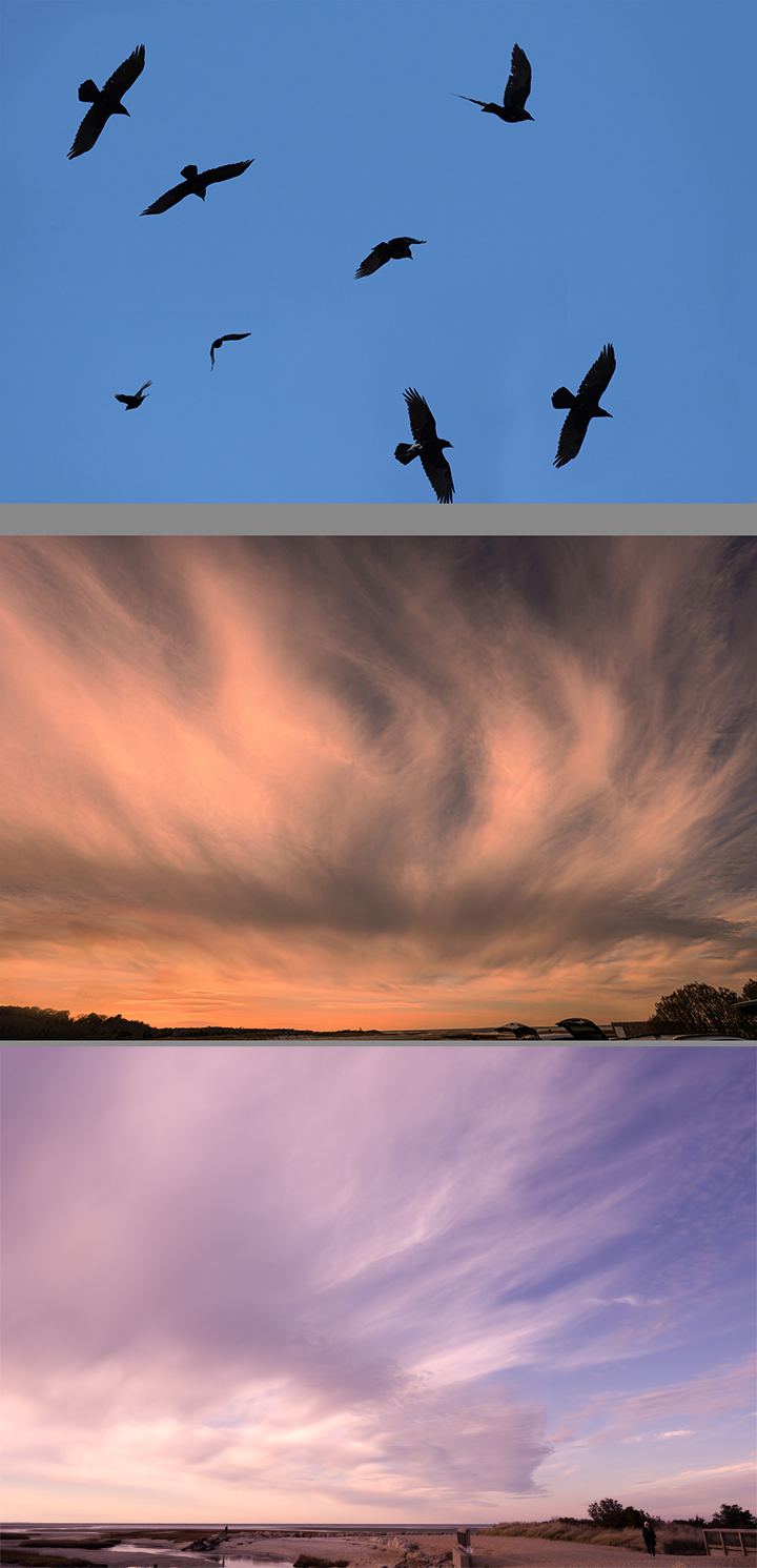 December 2025 - Peggy Nugent