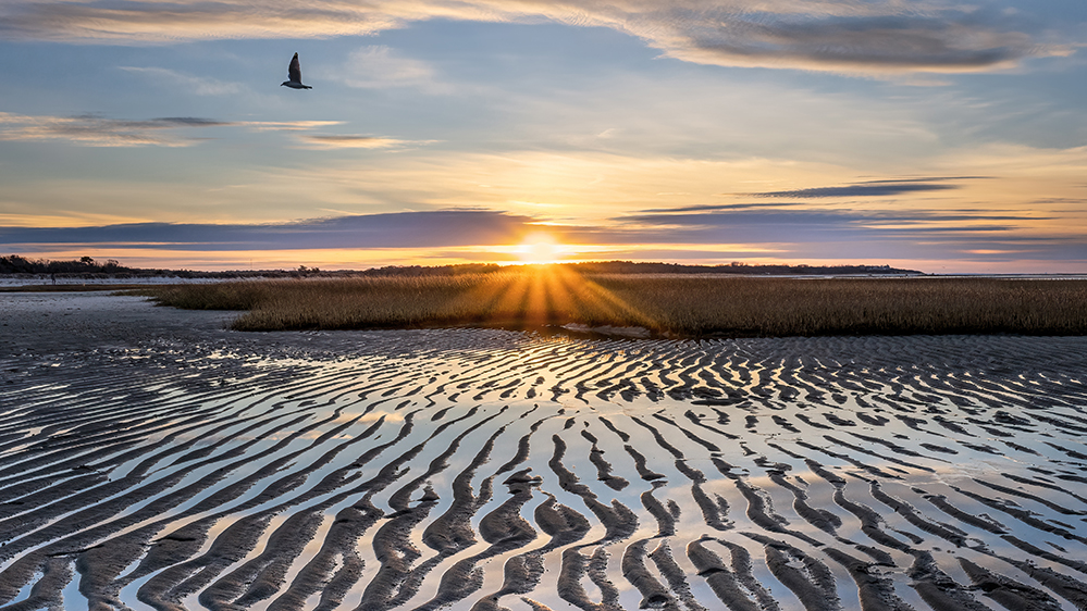 December 2025 - Peggy Nugent