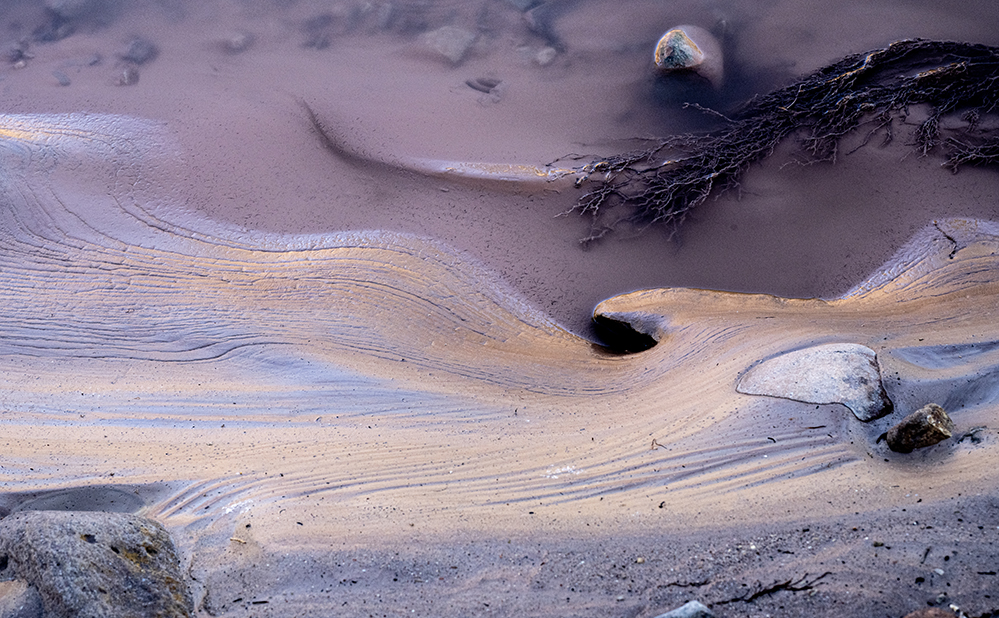 April 2026 - Peggy Nugent