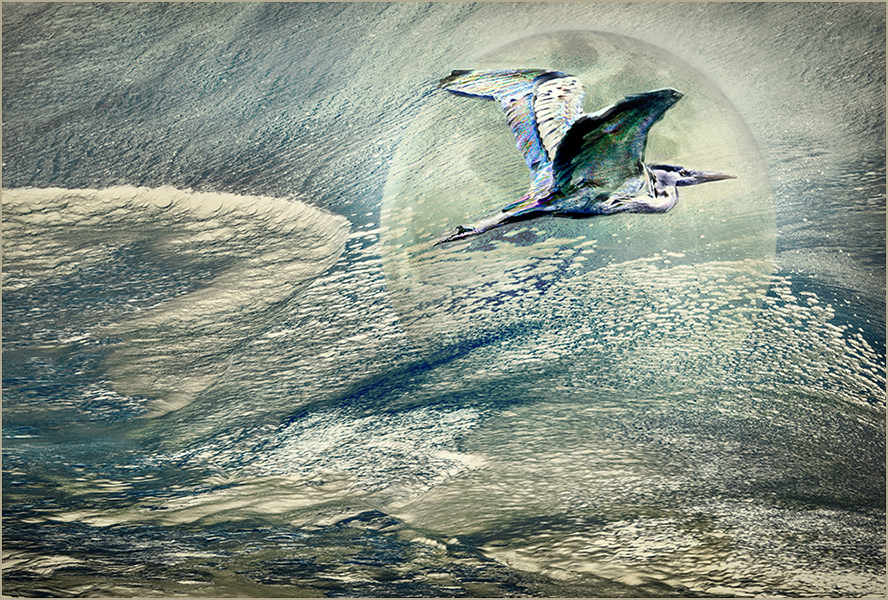 Escape by Peggy Nugent