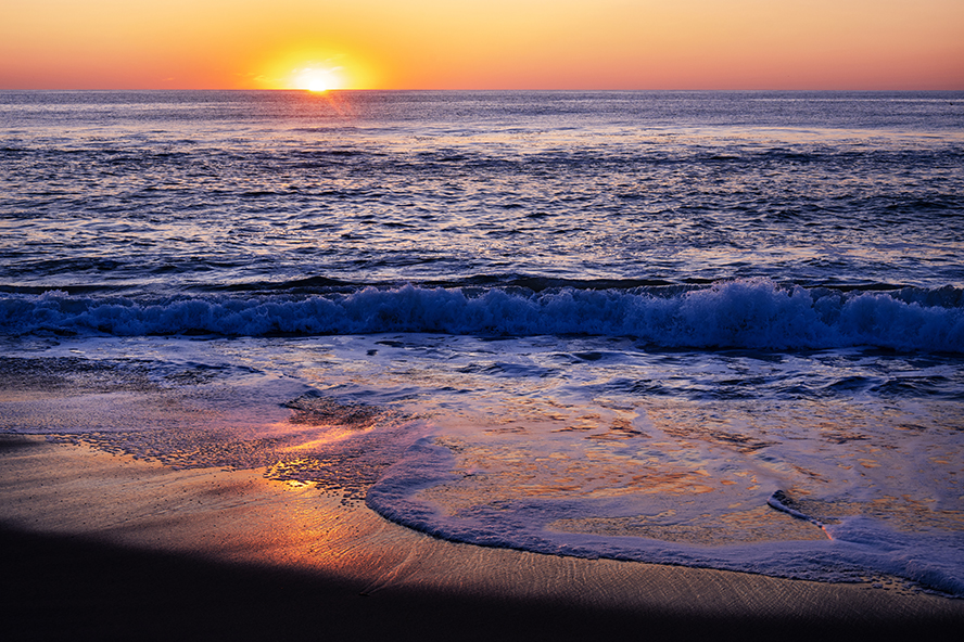 November 2025 - Peggy Nugent