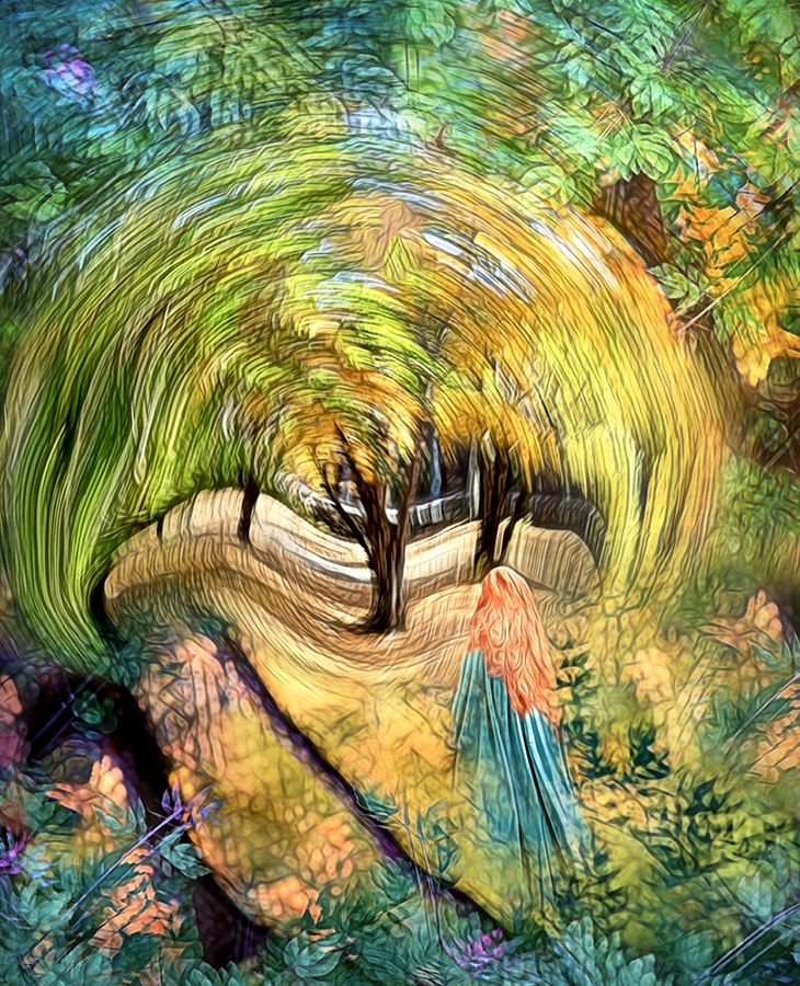 Enchanted Forest by Peggy Nugent