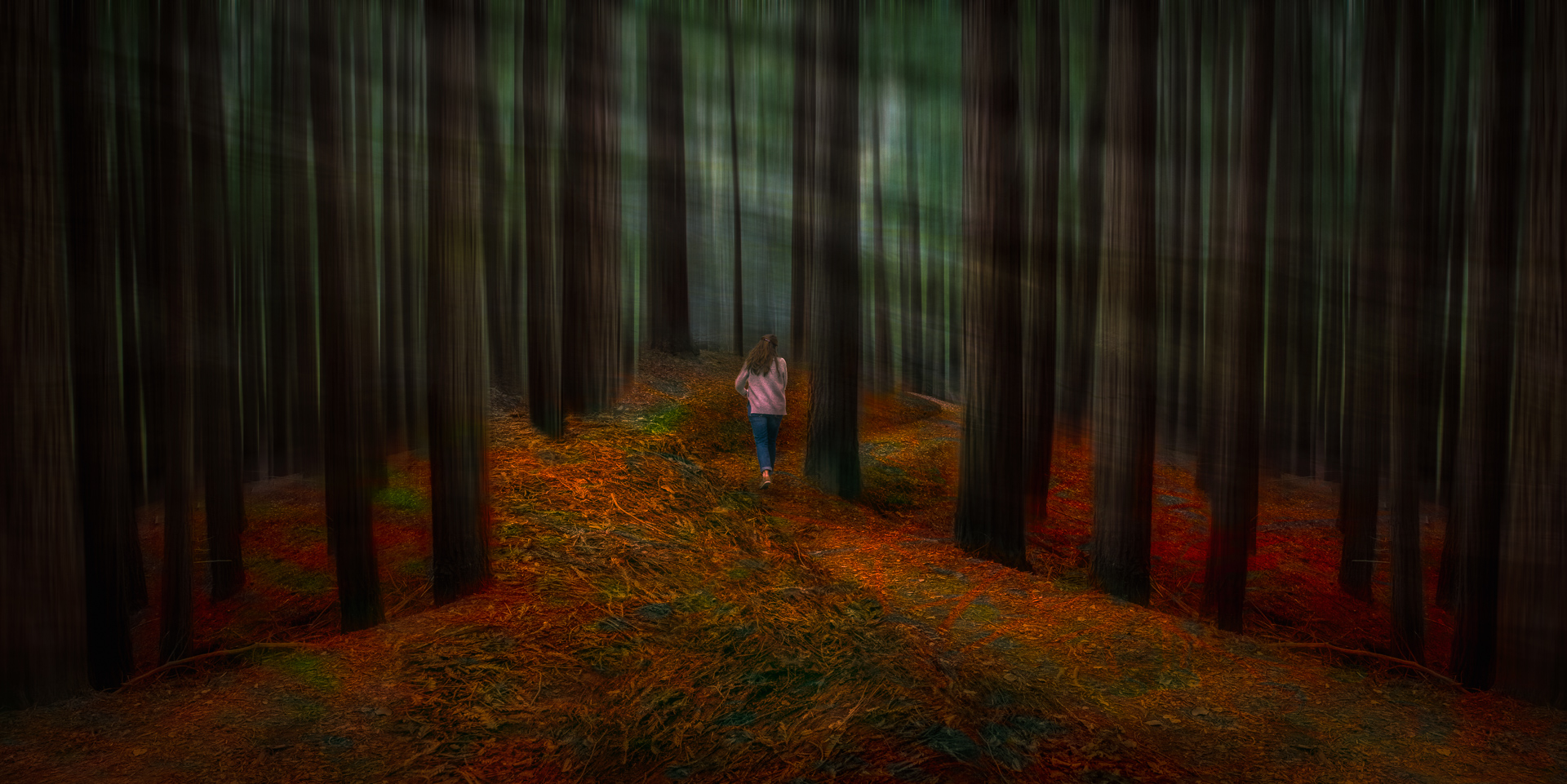 Deep Into the Forest by Maria Mazo