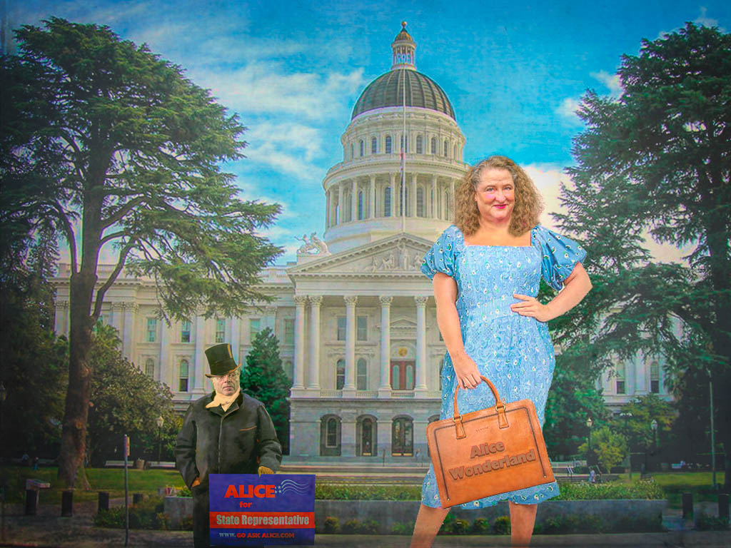 Alice Wonderland Runs for Office by Kathy Triolo