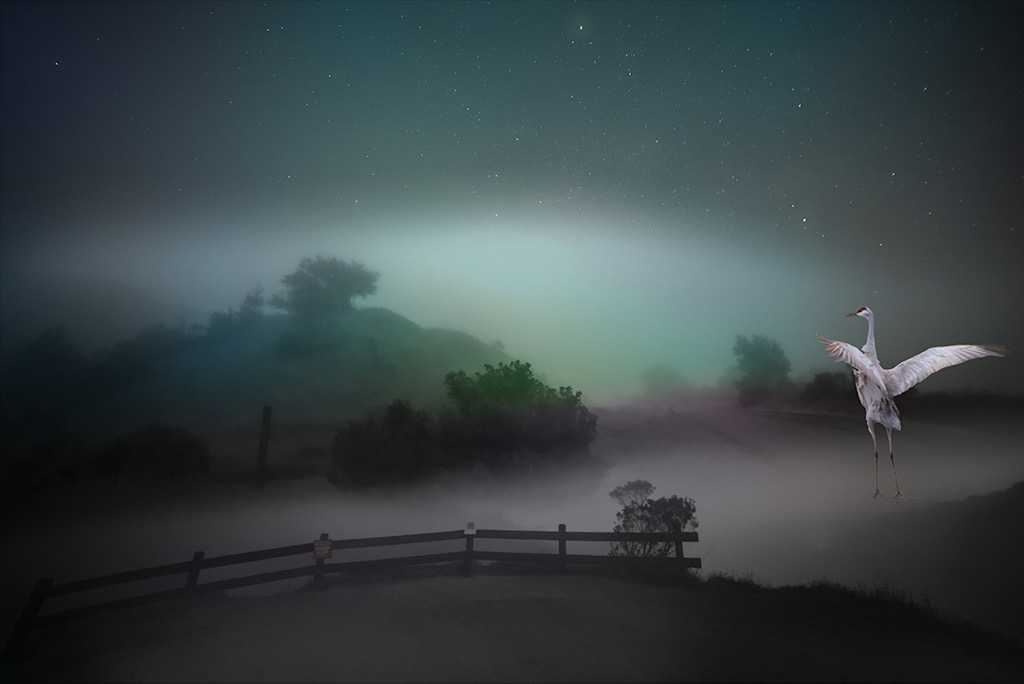 Ascent  by Brad Becker