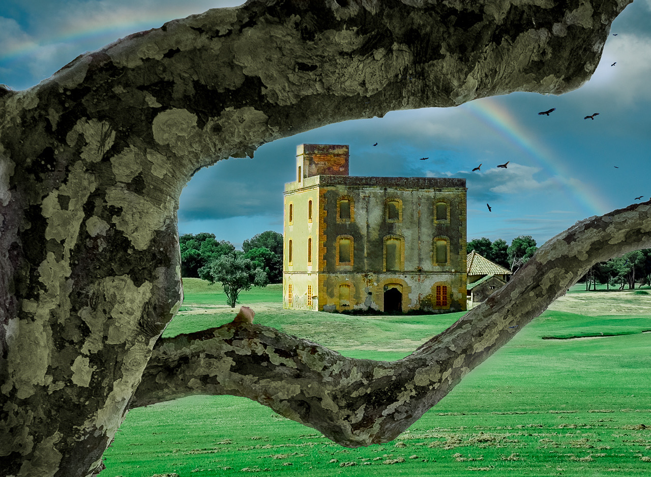 Sites House Landscape  by Matt Conti