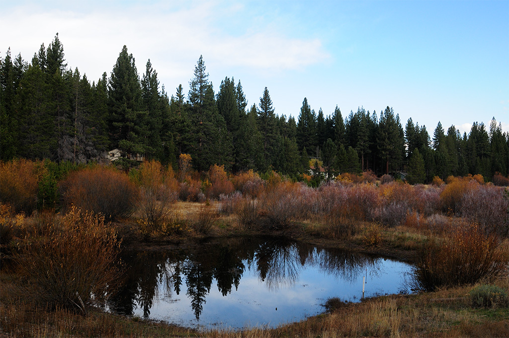 December 2025 - Brad Becker