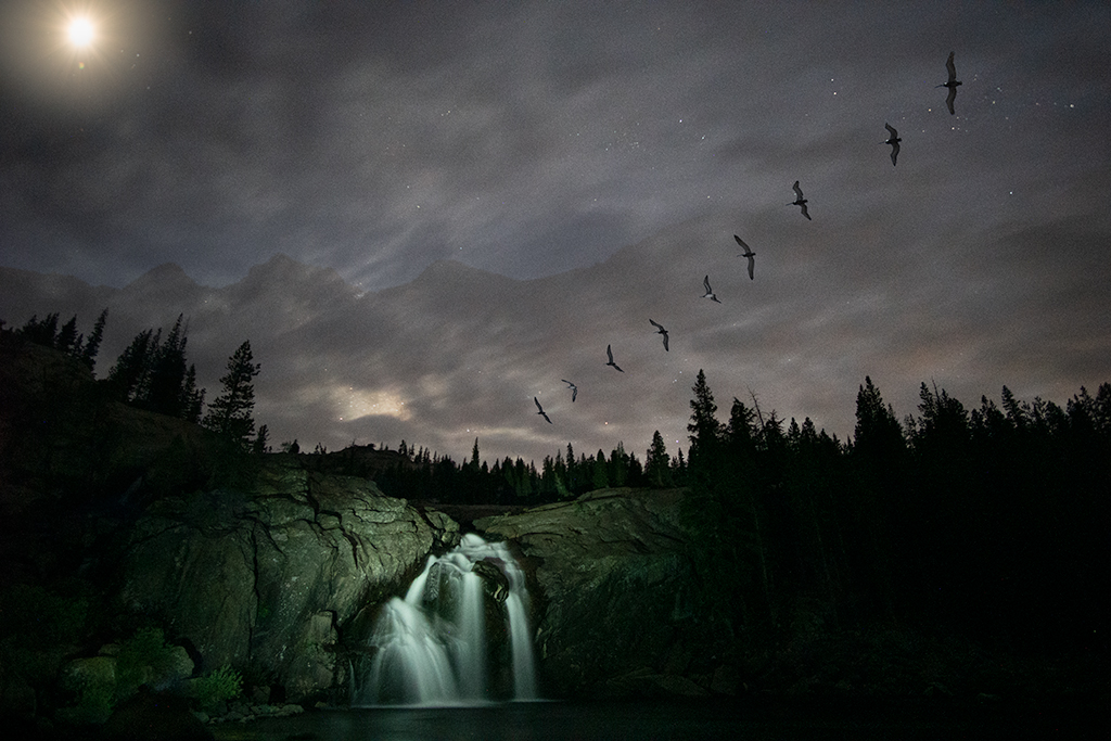 Convergence by Brad Becker