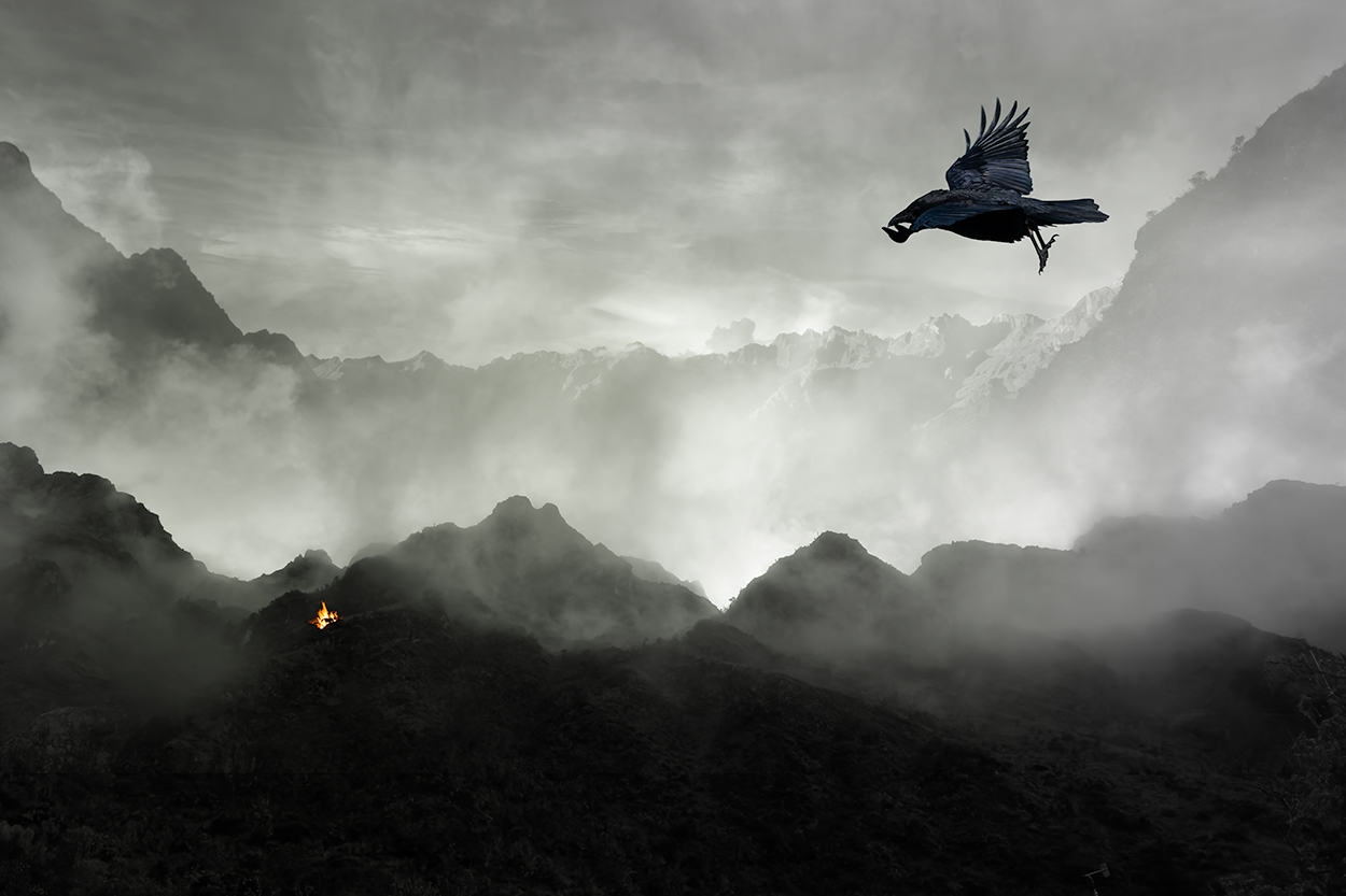 Signal by Brad Becker