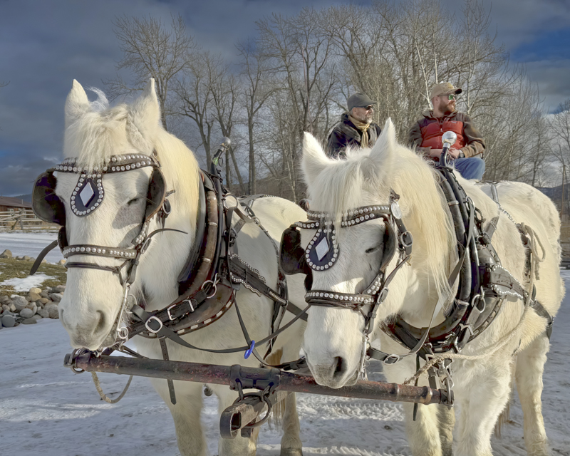 Wagon Ride by Alec Chester