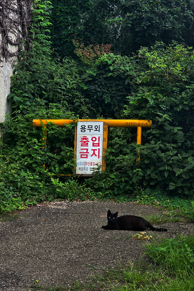 Stop Sign