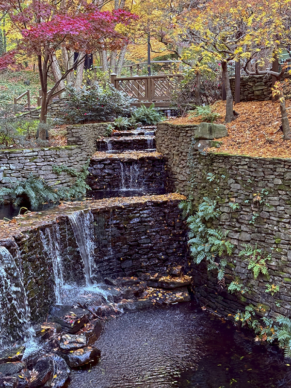 Park in Atlanta by Alec Chester