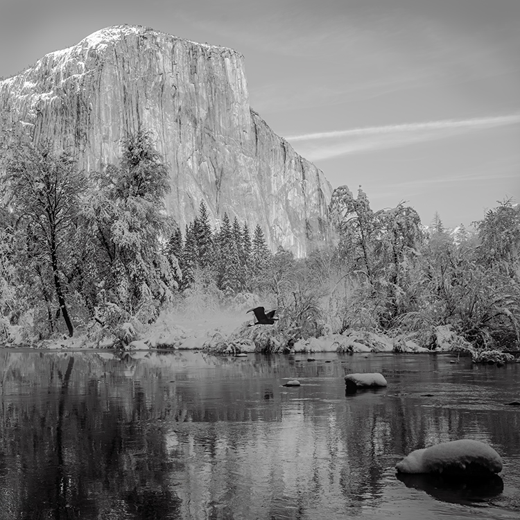 Yosemite Winter