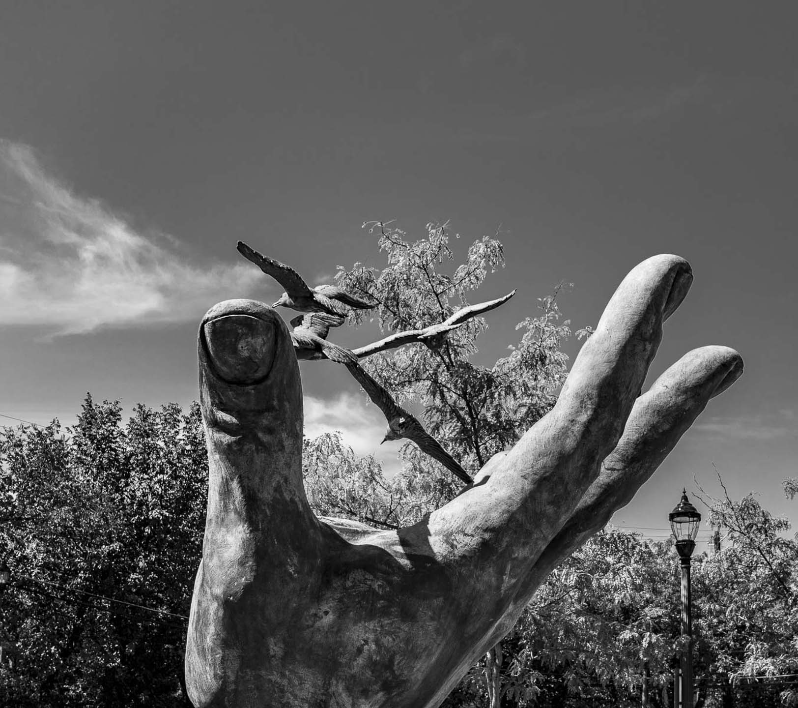 NOAA Hand by Pauline Jaffe