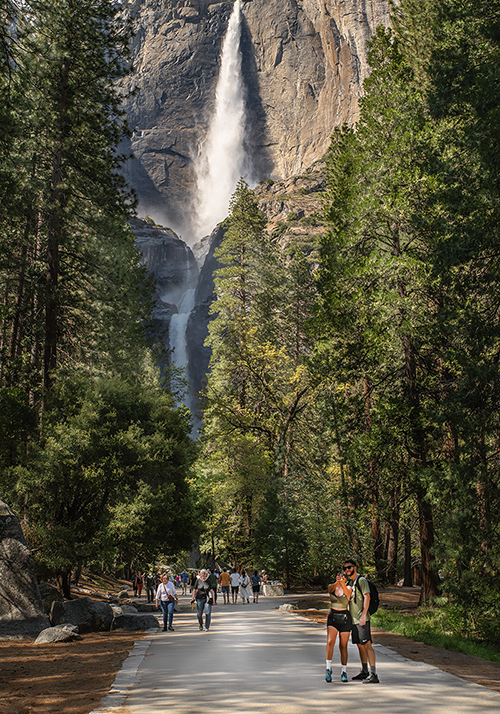 Travel Yosemite by Lori Azevedo