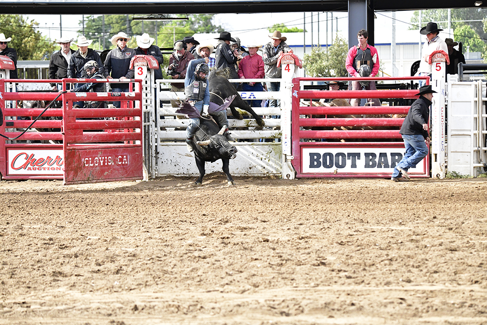 April 2026 - Lori Azevedo