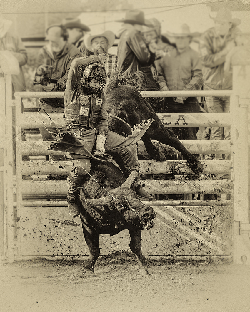 Rodeo by Lori Azevedo