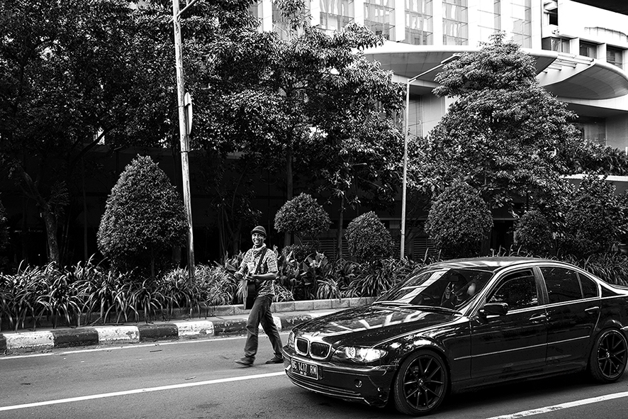 The troubador by Cisco Goncalves