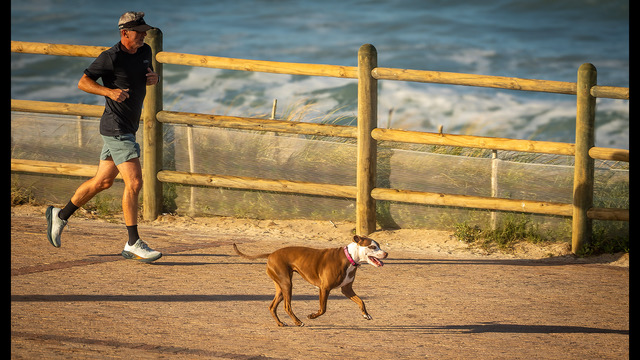 Early morning Dog jogging by Gerhard Geldenhuys