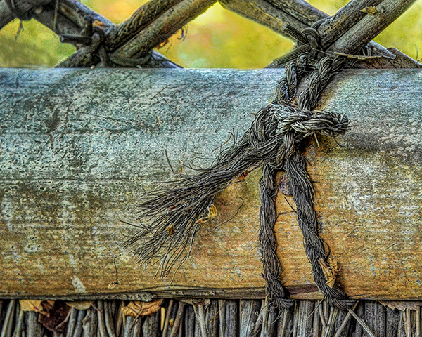 A Frayed Knot by Cindy Lynch