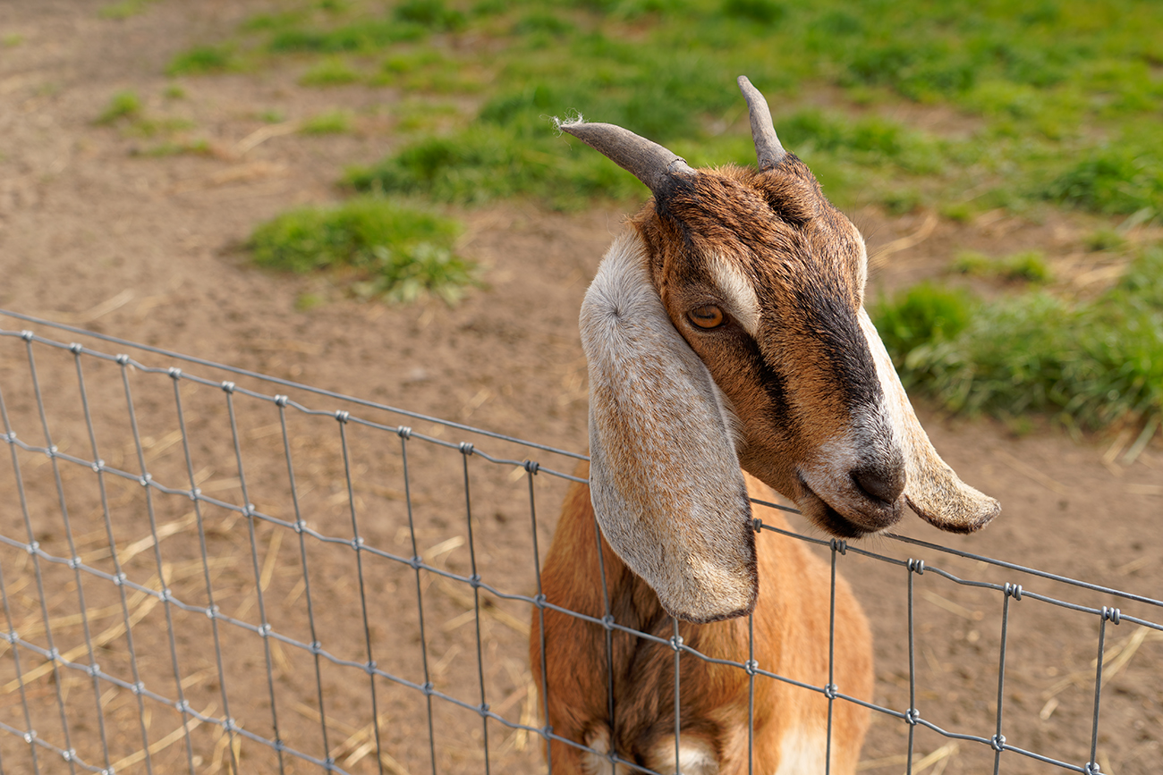 November 2025 - Mary Hinsen, BPSA