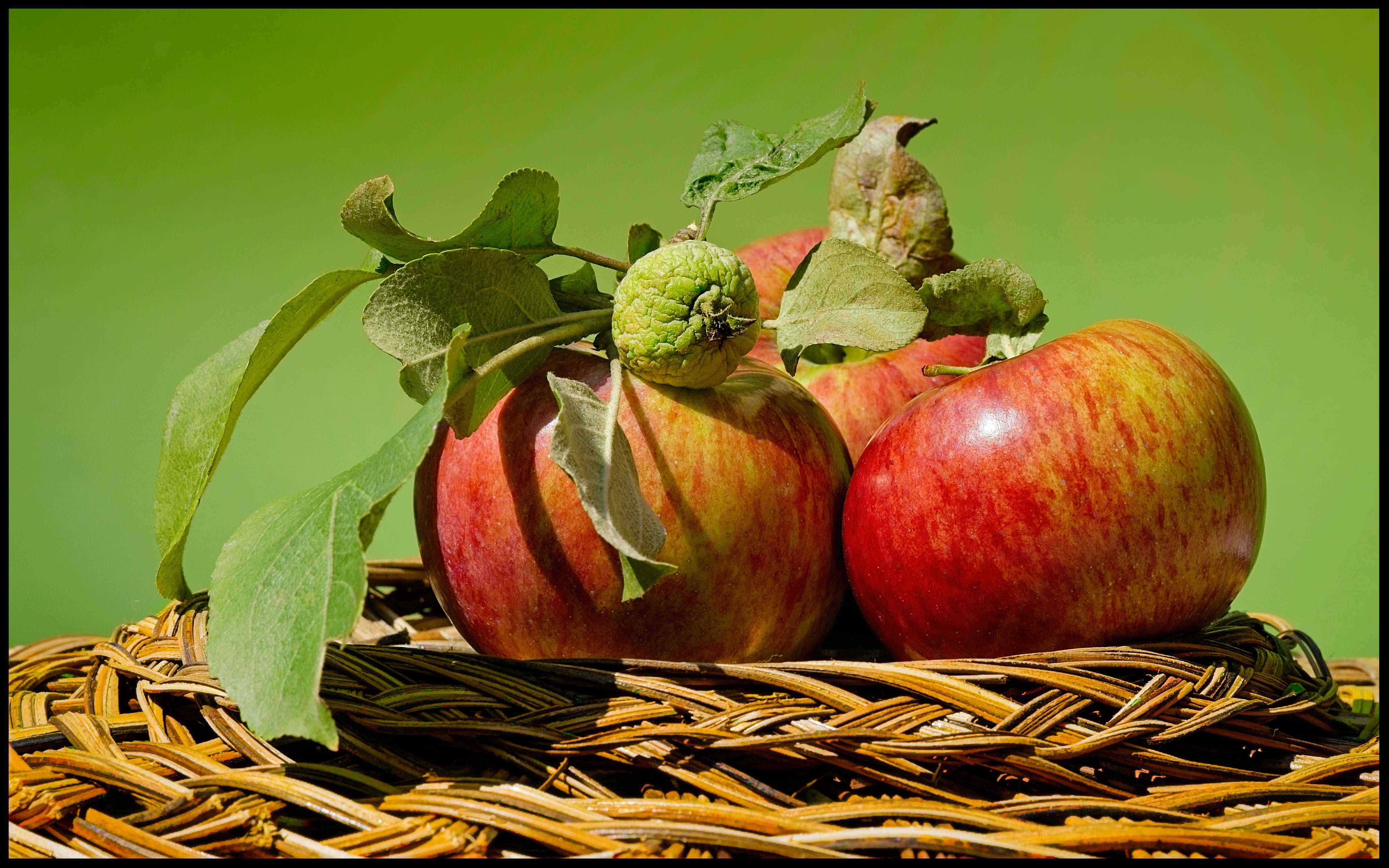 Early Apples by Bob Crocker