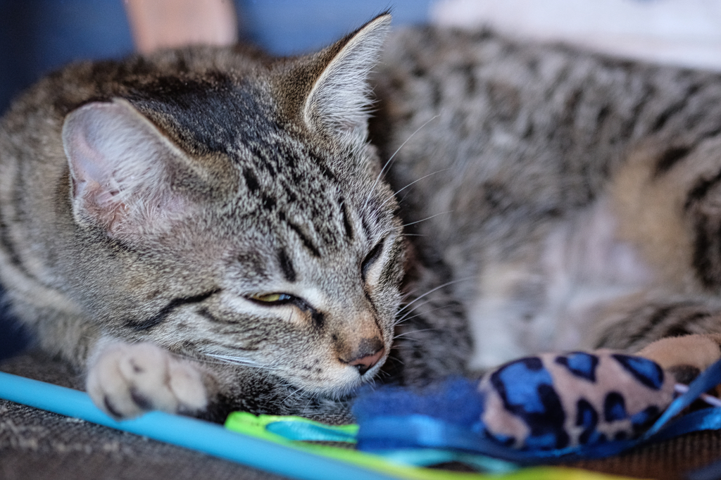 M is for Mau    by Andrew Carstensen
