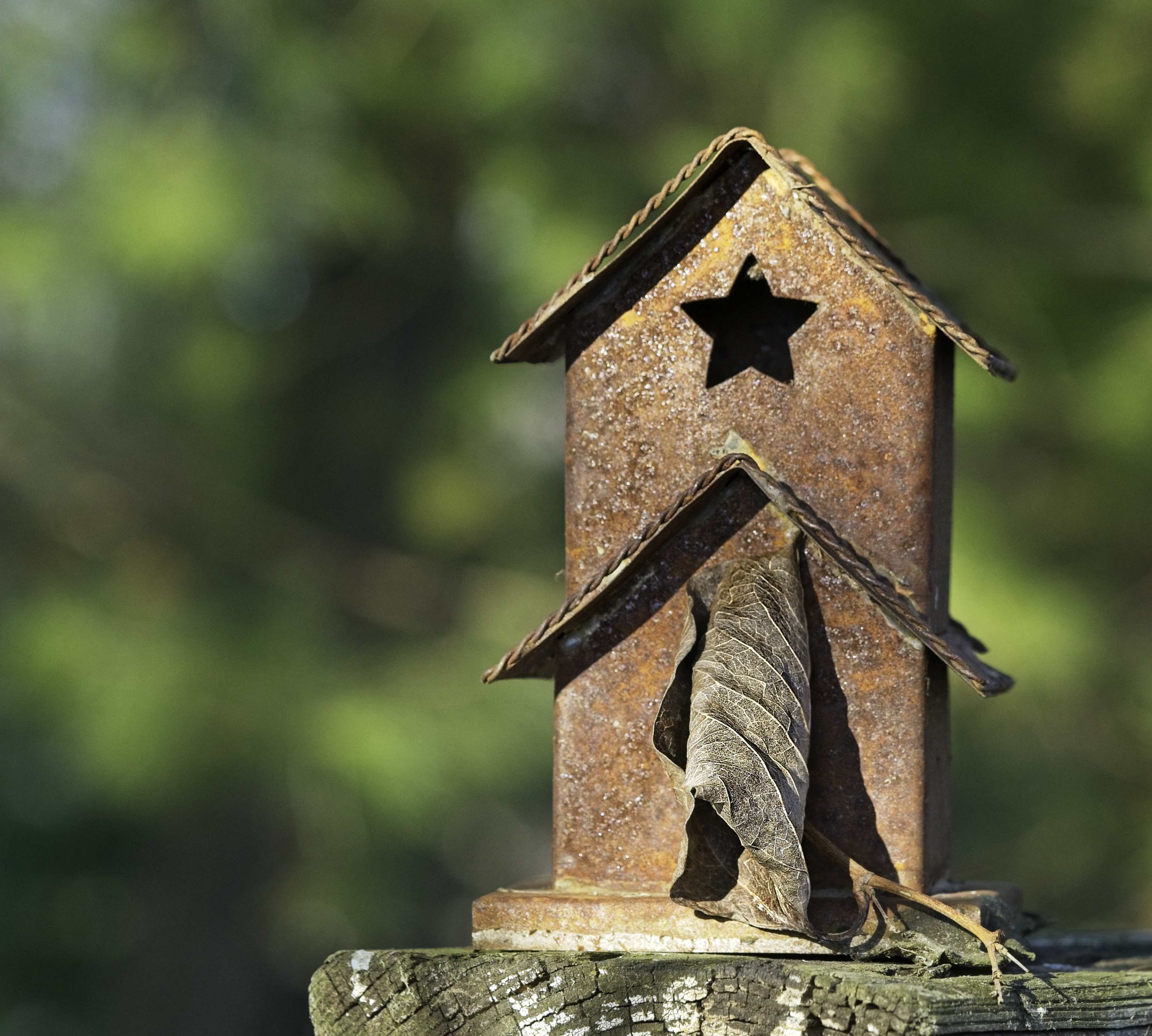 Still Winter by Bob Crocker