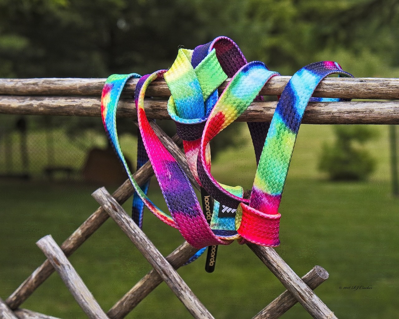Tie Dye by Bob Crocker