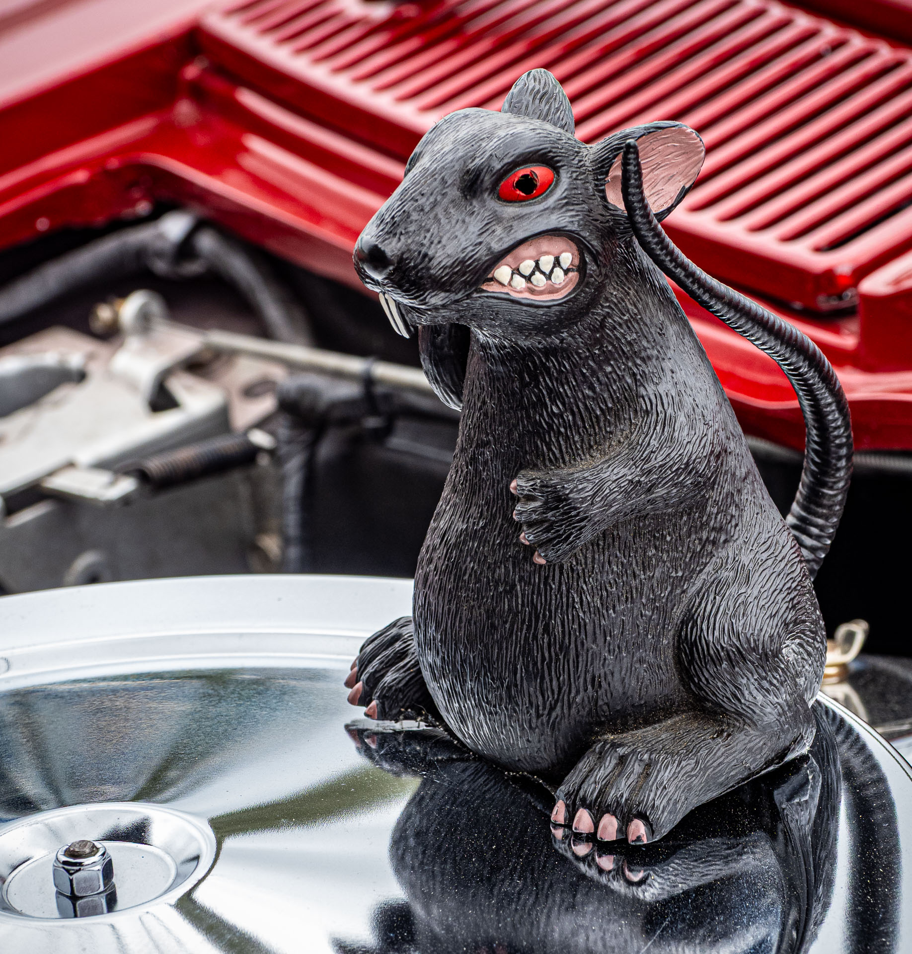 Car Rat by Nelson Charette