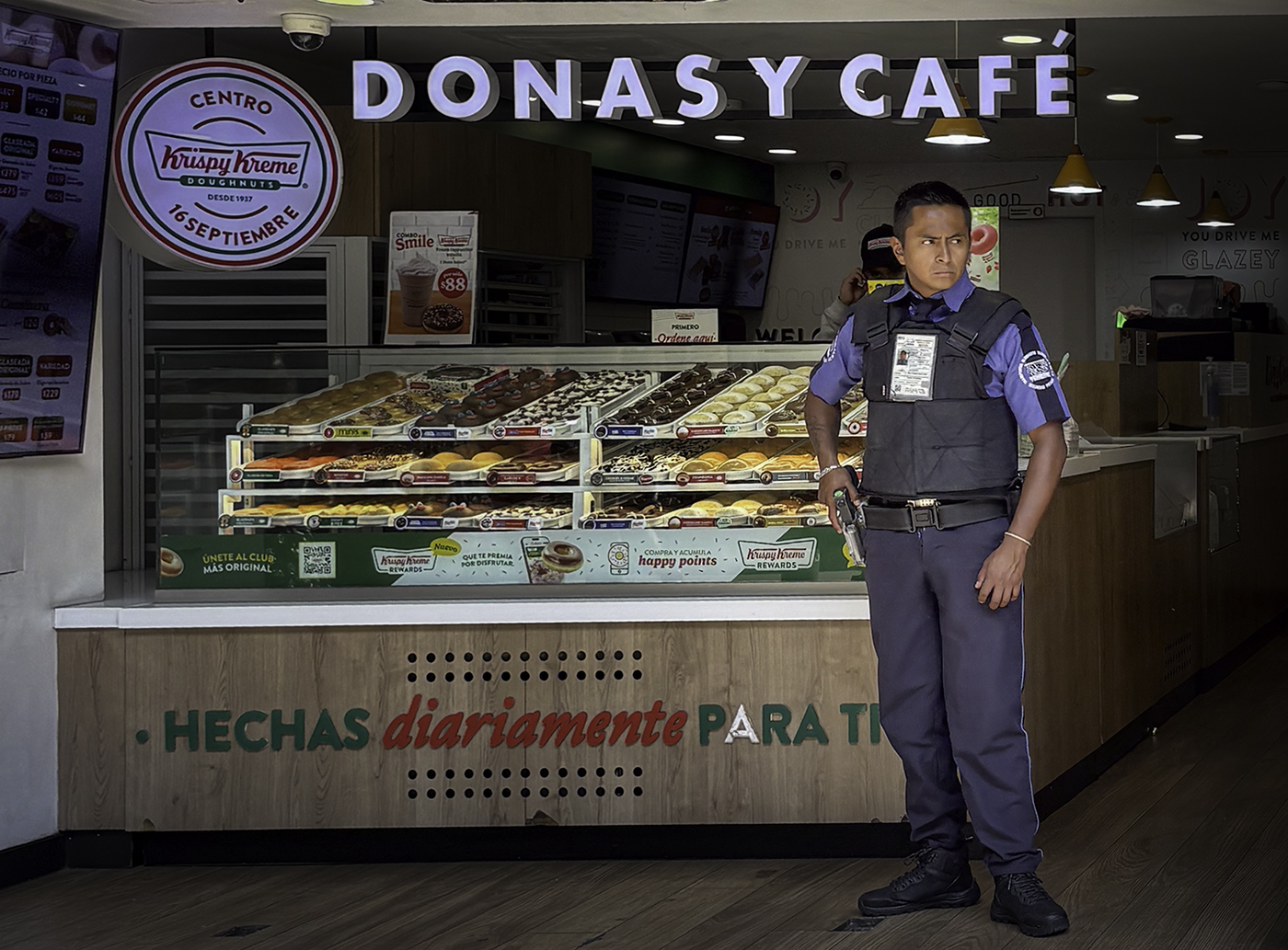 Guarding the Goodies by Bruce Goodman