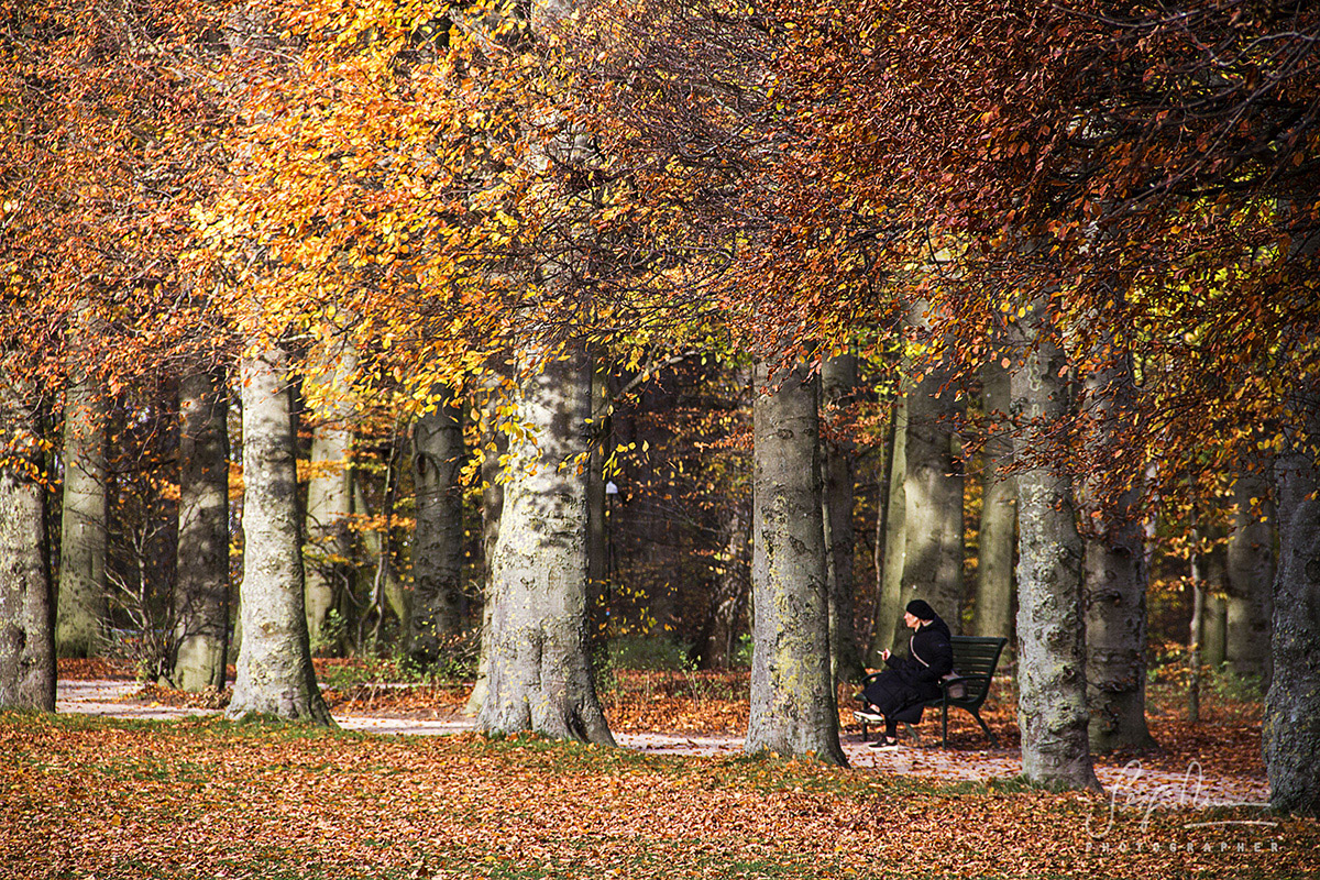 Autumn by Sergio Mussini