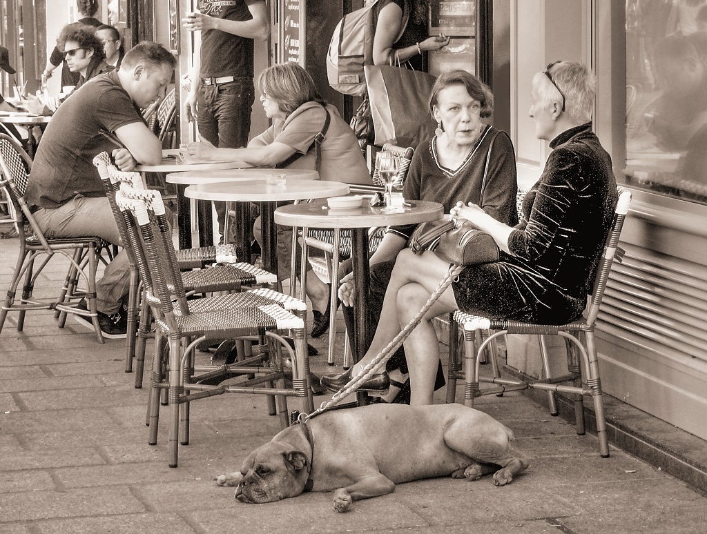 Paris Cafe Life by Kathleen McCrary