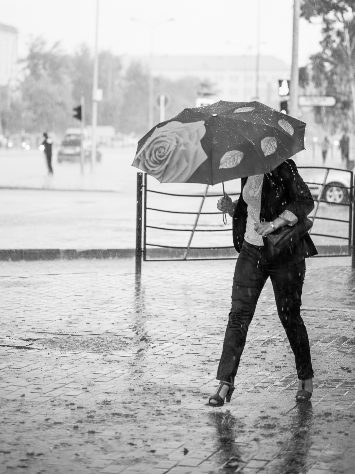 Rain Crossing by Maxim Rozhin