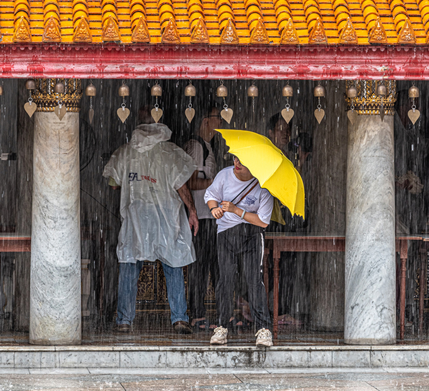 Yellow Umbrella