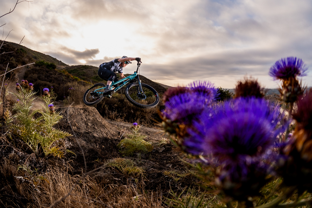 Local Trails by Andre Magarao
