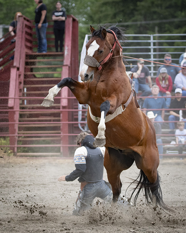 Danger by Bruce Benson