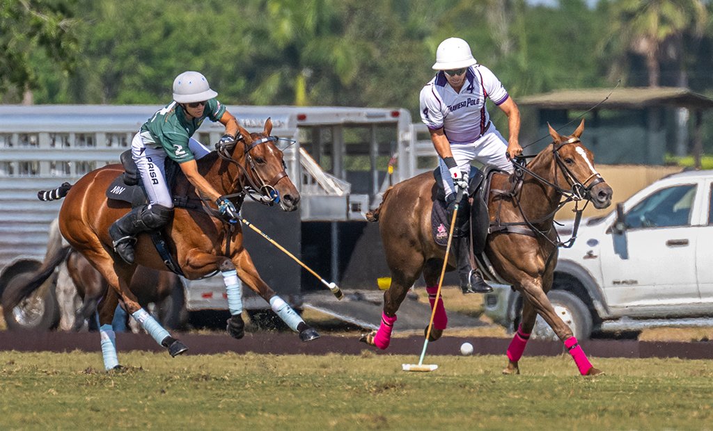 Polo Duel by Dr Isaac Vaisman