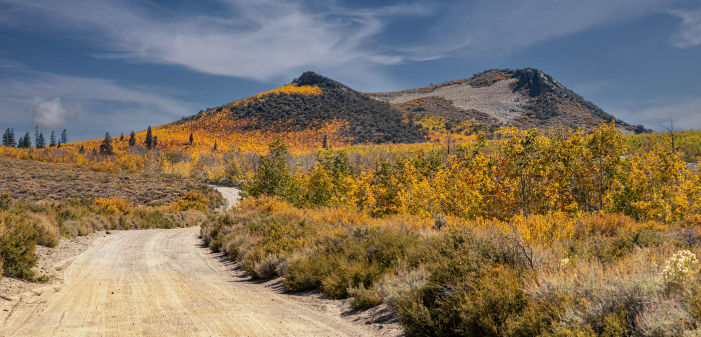 There's Gold in Them There Hills