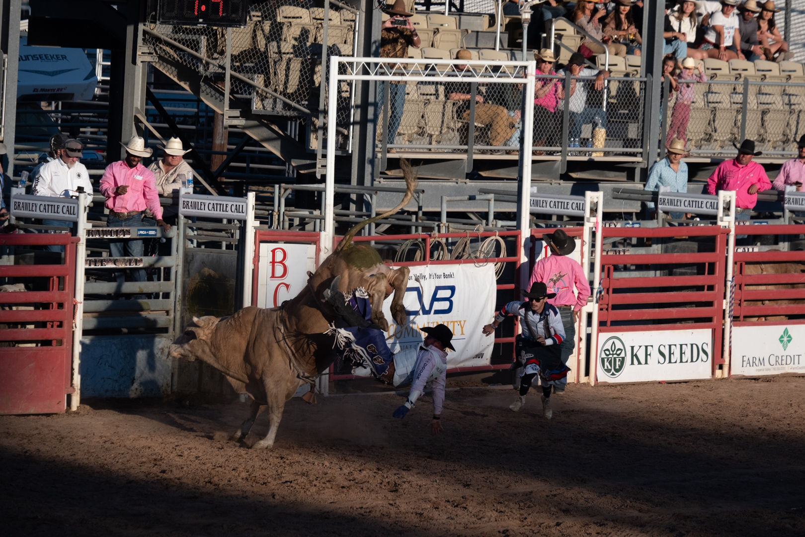 April 2026 - Diana Edelman