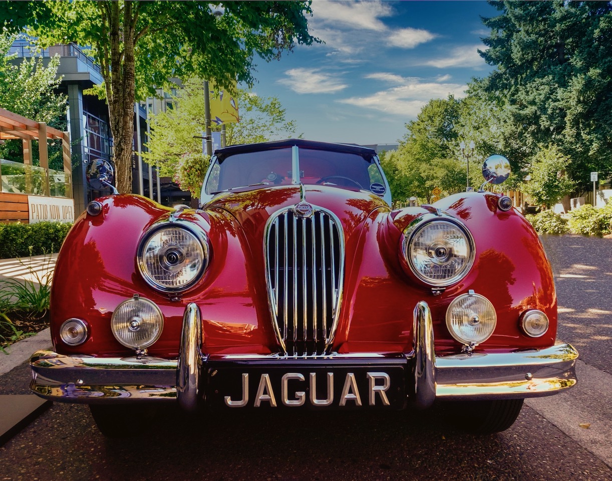 Mr. Reg Jag by Rita Johnston