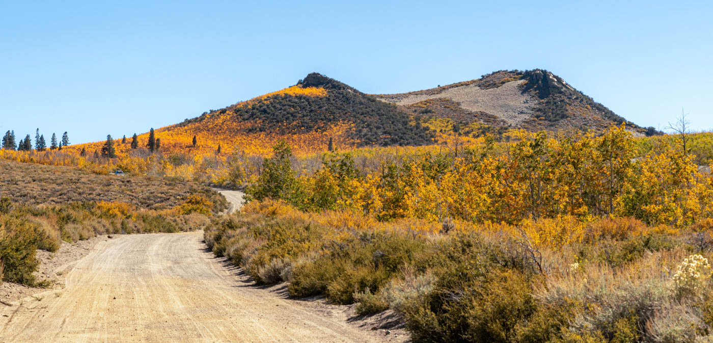 November 2025 - Karen Randall