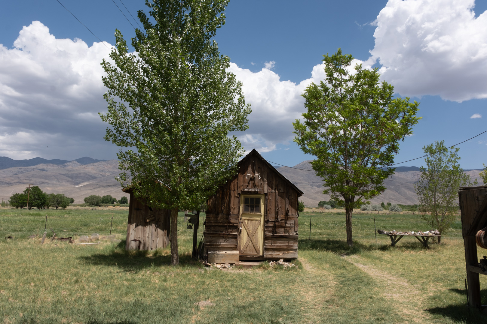 December 2025 - Diana Edelman