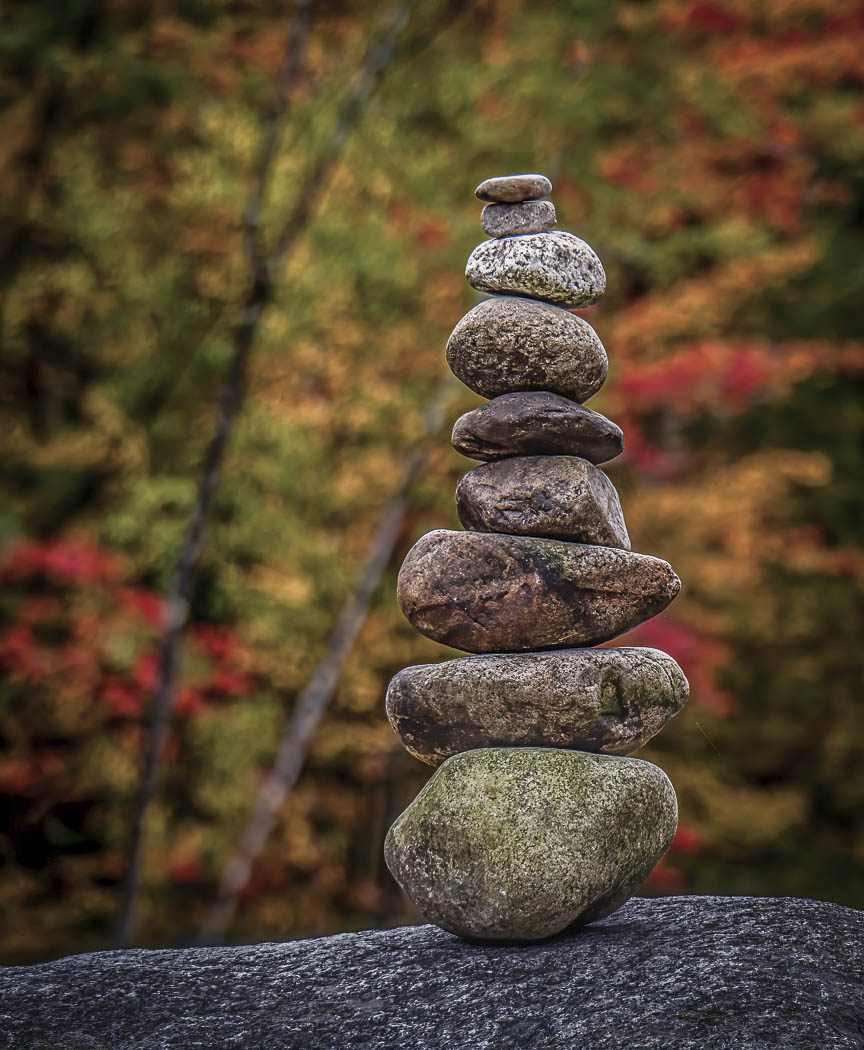 Well Balanced by Erin Lamb