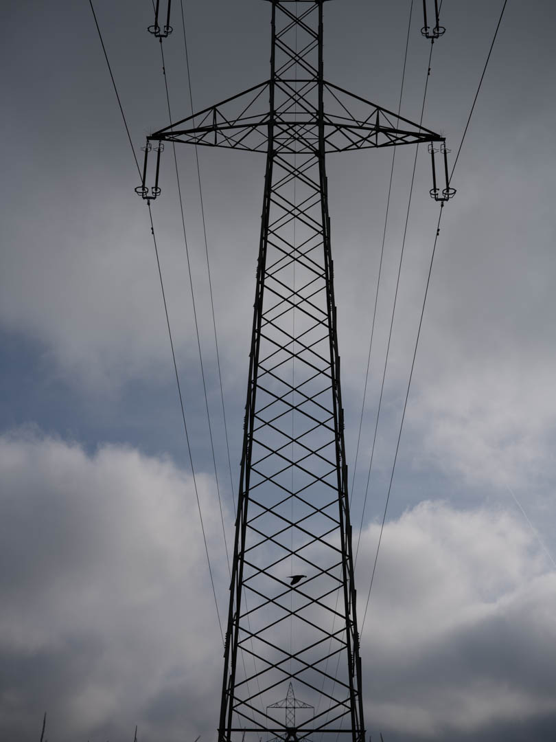 December 2025 - Adrian Schaub