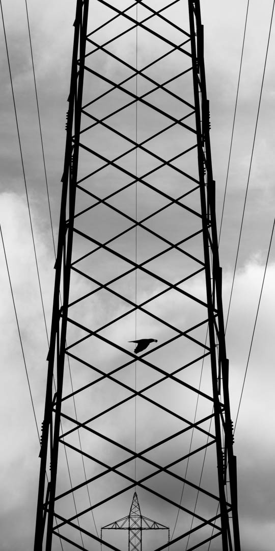 December 2025 - Adrian Schaub