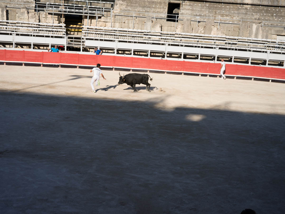 November 2025 - Adrian Schaub