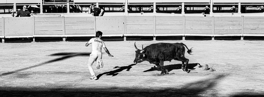 November 2025 - Adrian Schaub